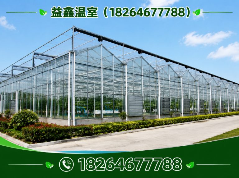 寒亭区连栋温室展示图